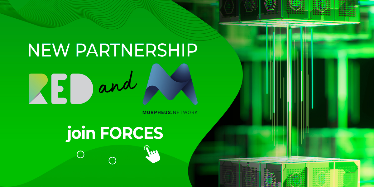 New partnership - RED and Morpheus join forces 